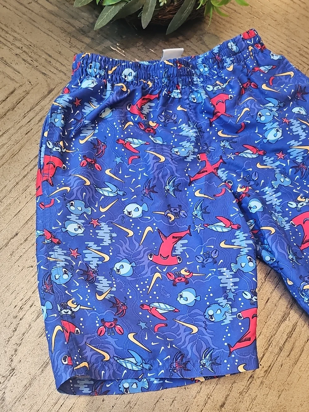 Nike Swim Trunks Size M